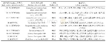 表2 菌株16S rDNA序列相似性分析及菌落形态描述