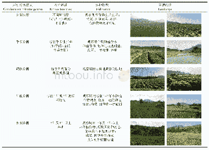 表3 研究区不同弃耕行为模式特征