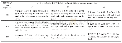 表1 不同酶解和后低渗时间对制片效果的影响