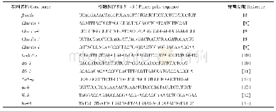 《表1 紧密连接及炎症细胞因子相关基因的引物序列》