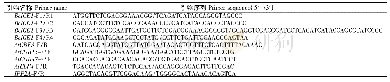 《表1 本文所用引物：不结球白菜BcICE1基因的克隆与功能分析》
