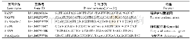 表1 荧光定量PCR引物序列