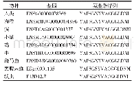 《表2 不同物种c.346 G&gt;A(p.G116S）突变位点同源序列比对》