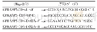 表1 GPRASP2靶点位置及sg RNA寡核苷酸序列