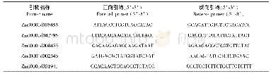《表1 引物序列：玉米矮杆突变体的筛选与候选基因鉴定》