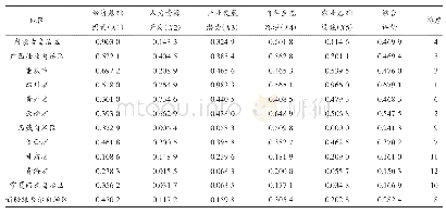 《表3 评价结果：西部地区休闲农业发展水平评价及对比分析》