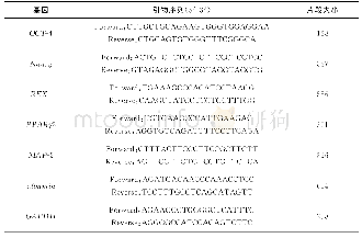 《表1 引物序列：人羊膜上皮细胞的体外培养及诱导分化》