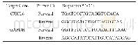 表1 CXCL6基因引物列表