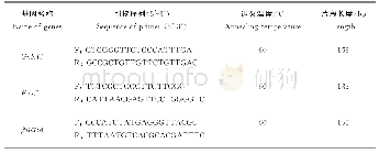 表1 RT-qPCR引物信息
