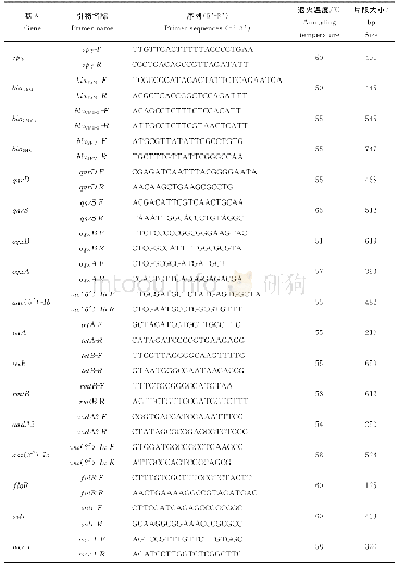 表1 本研究所用的引物信息