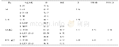 表2 不同融合算法定量评价