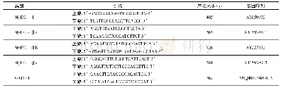 表1 RT-PCR分析用MyHC引物序列