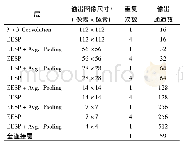 表1 多层EESP模型各层参数