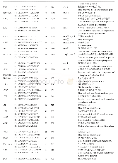 《表1 56对引物信息：大白菜软腐病抗性相关基因分子标记的开发》