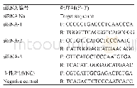 《表2 siRNA序列信息》