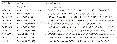 表1 候选基因名称及定量引物序列