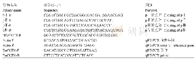 表1 启动子克隆及qRT-PCR引物序列