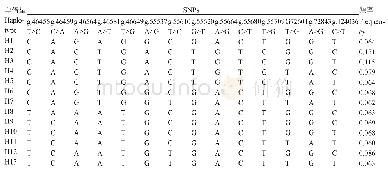 表3 ITPR1基因SNP位点的单倍型频率