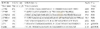 《表1 UCP3基因引物信息》