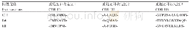 《表2 阳性重组噬菌体单域抗体的氨基酸序列差异》