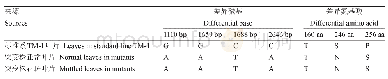 表2'鲁棉418'突变株叶片与参考基因组中Gh PBGD1A的序列差异