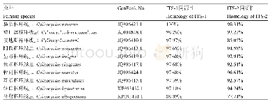 表2 CN虫体ITS序列核苷酸同源性比较