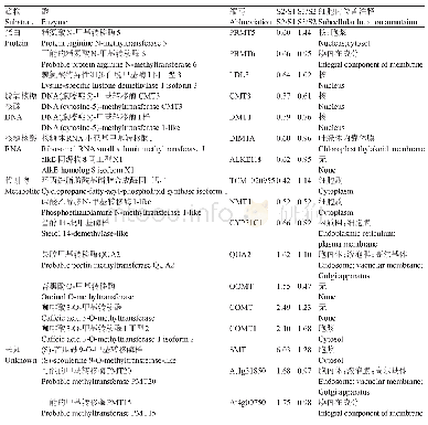 《表1 甲基化相关的差异表达酶》