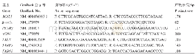 表2 q RT-PCR引物序列信息