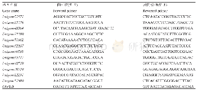 表1 q RT-PCR反应引物序列