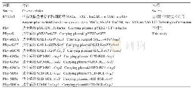 表3 本研究构建的重组酵母菌株