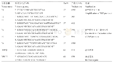 《表1 引物信息：蛋鸡BSP基因启动子鉴定与分析》