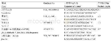 表2 实时荧光定量PCR引物信息