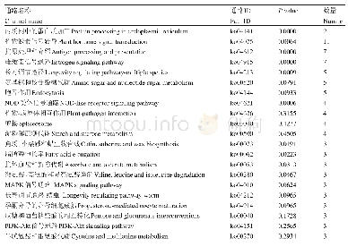 表3 低温处理时差异表达基因KEGG通路富集