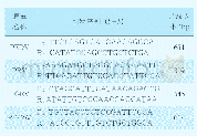 表1 RT-PCR扩增目的片段及引物