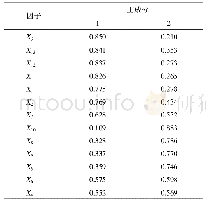 表3 空隙分类：北京乡村民宿消费动机分析
