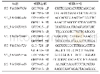 《表3 标志基因引物序列：黄腐酸对稗草幼苗及其生长素类物质合成相关基因的影响》