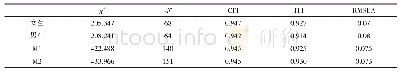 表2 中介模型的性别差异比较