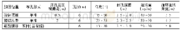 表1 注浆加固钻孔参数：松软煤层大采高片帮冒顶防治技术