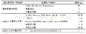 表1 采用茎环引物荧光定量PCR方法检测miRNA-199反应体系