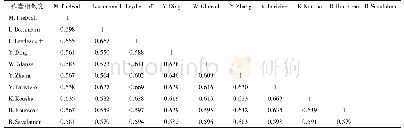 表3 基于关键词的作者相似度矩阵