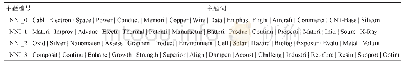 《表2 NNI规划文本数据主题识别结果》