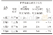 表3 各工况最大应力值及分布位置