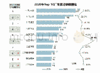 表4 2020年TOP 10厂商累计销量排名