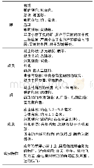 《表1 苹果小吉丁虫的形态特征》