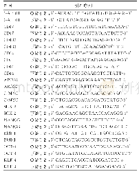 《表1 目的基因引物序列：CD47对鼻咽癌干细胞影响及机制研究》