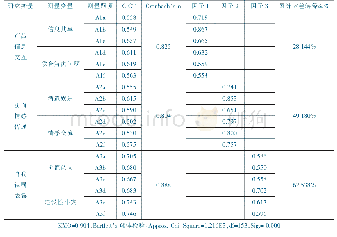 《表1 顾客间价值共创量表信度与效度检验结果》