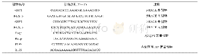 表1 本研究所用的引物序列