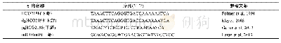 表2 PCR引物信息：基于DNA条形码研究中国枪乌贼和鸢乌贼的食物种类组成