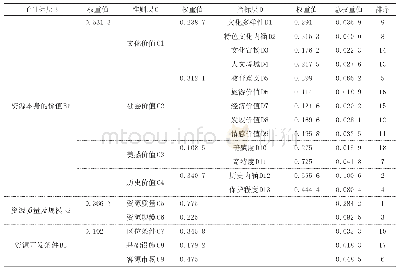 《表1 3 各指标权重及排序》