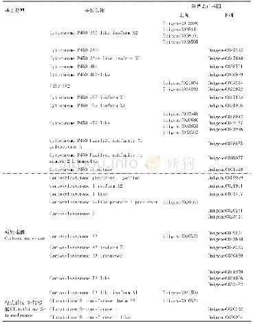 续表1 部分与抗逆、解毒相关的差异表达基因